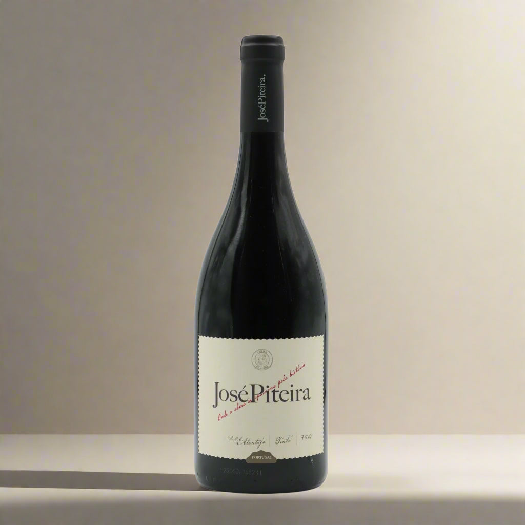 José Piteira Tinto - 2023