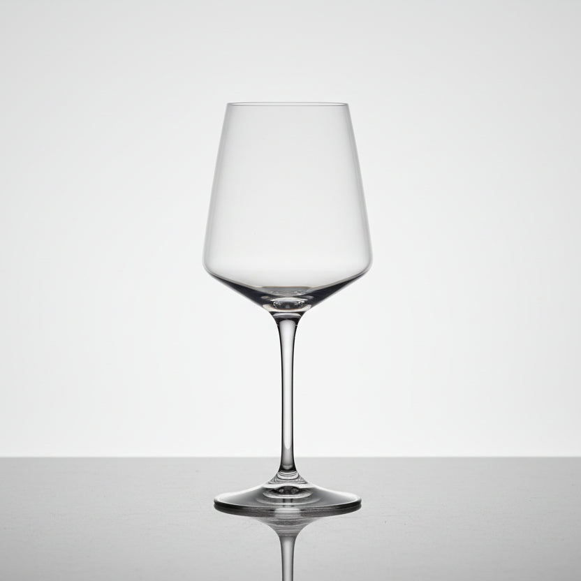 Set van 6 witte wijnglazen (46 CL) - ARIA
