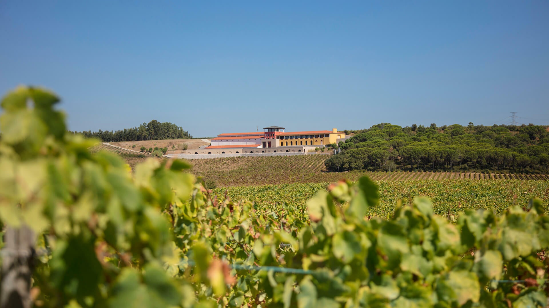 Wijnhuis uit Bairrada in Portugal