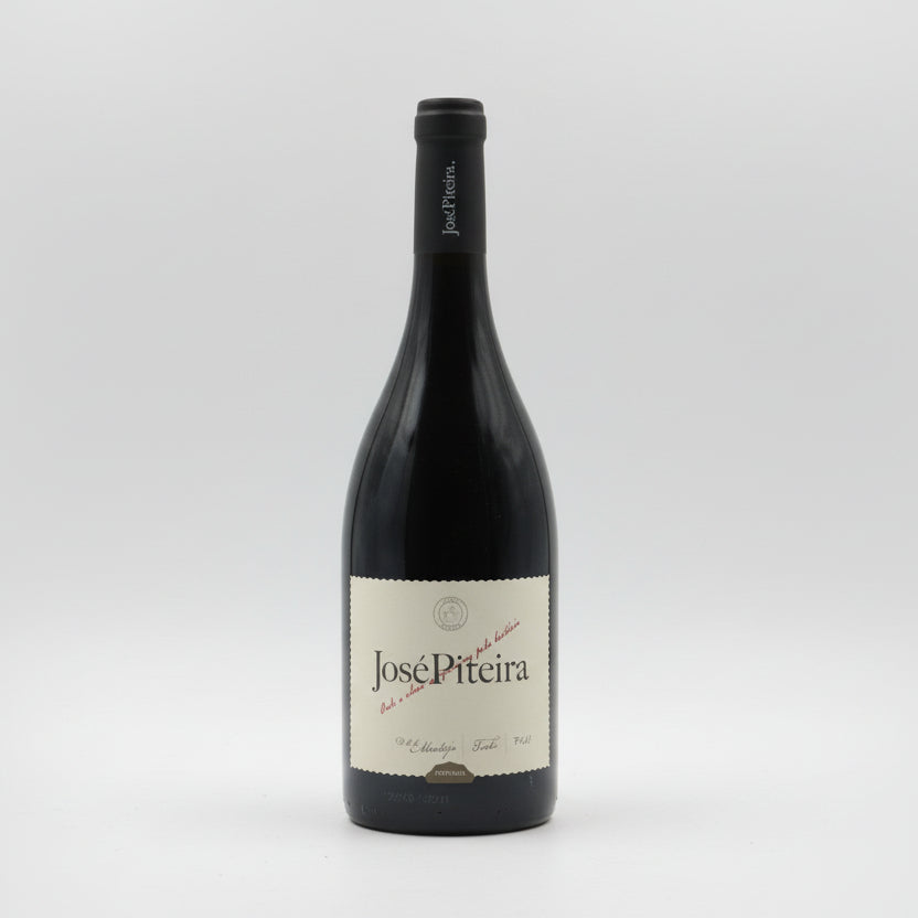 José Piteira Tinto - 2023