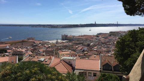 Uitzicht over verschillende huizen in Lissabon en de Taag-rivier