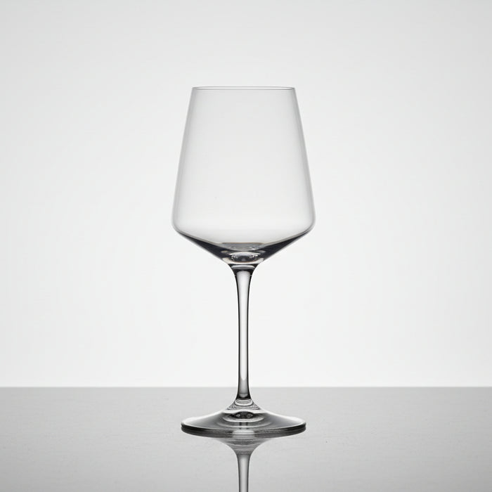 Set van 6 witte wijnglazen (46 CL) - ARIA